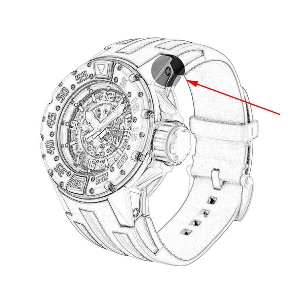 Richard Mille 4 prong Watch Band Screw-4